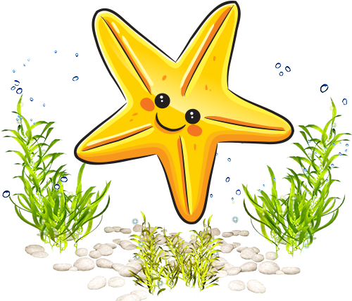 Drawing Sea Starfish Cartoon - Marine Life Cartoon (500x500)