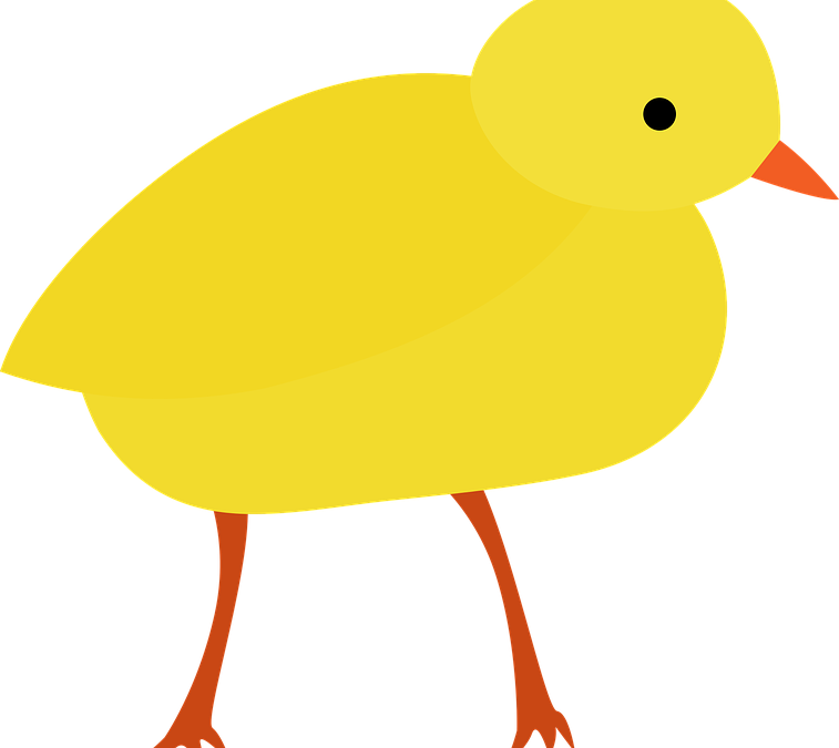Easter Chick Set To Fly The Nest - Duck (757x675)