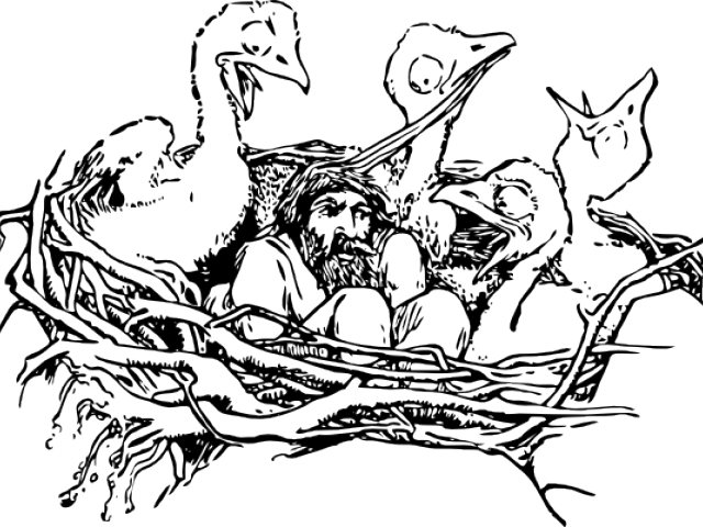 Nest Clipart Sketch Bird - Bird In Nest (640x480)