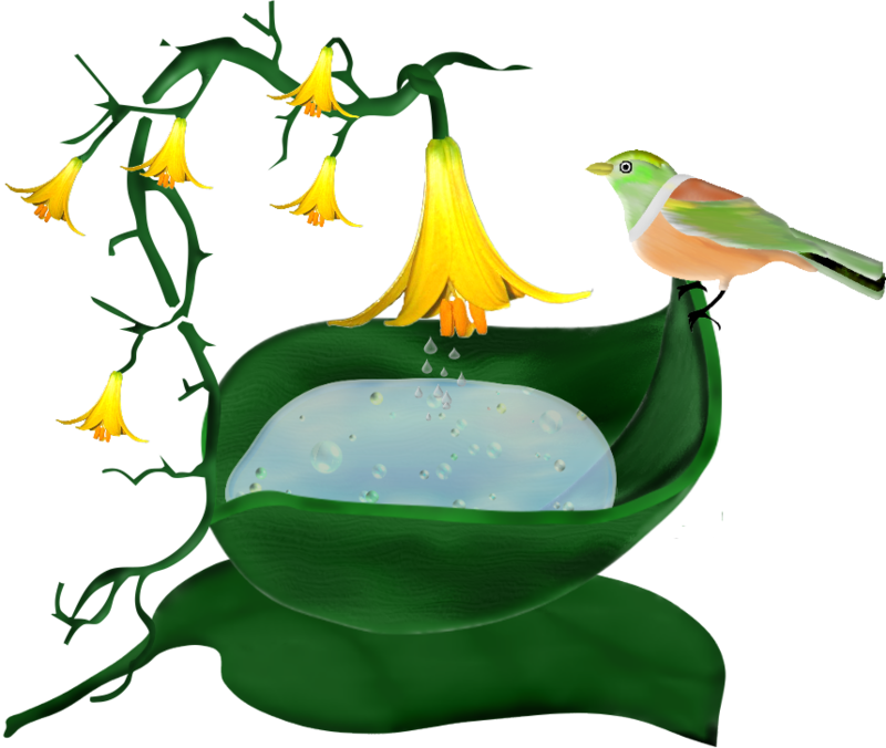 Birds And Flowers - Gif (800x676)