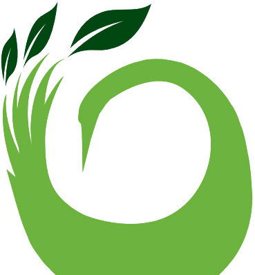 Sankofa Nola - Sankofa Fresh Stop (400x400)