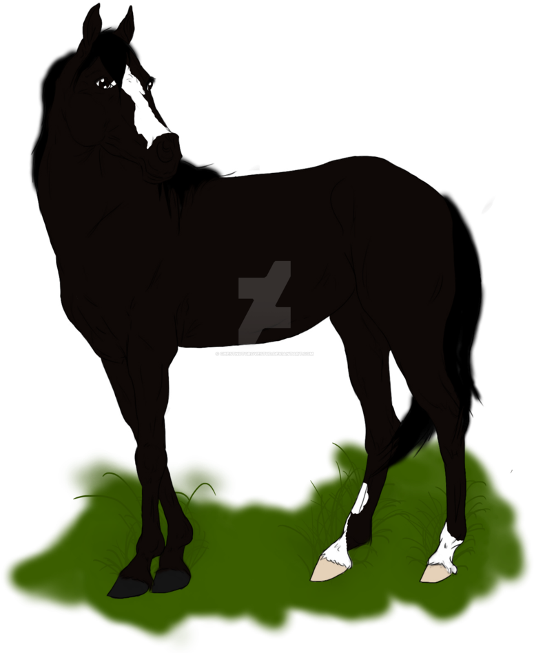 Hss Sex And Hollywood By Chestnutgrovestud - Mane (786x1016)