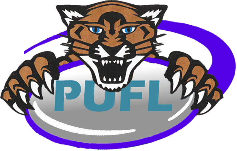 Ultimate Frisbee League - Lucile Erwin Middle School (800x512)