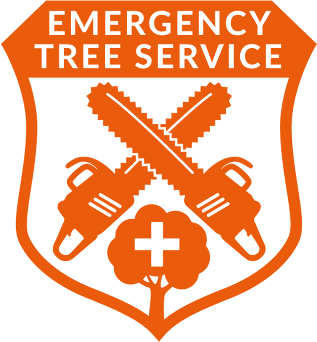 No Need To Wait For Help - Peebles Old Parish Church (645x703)