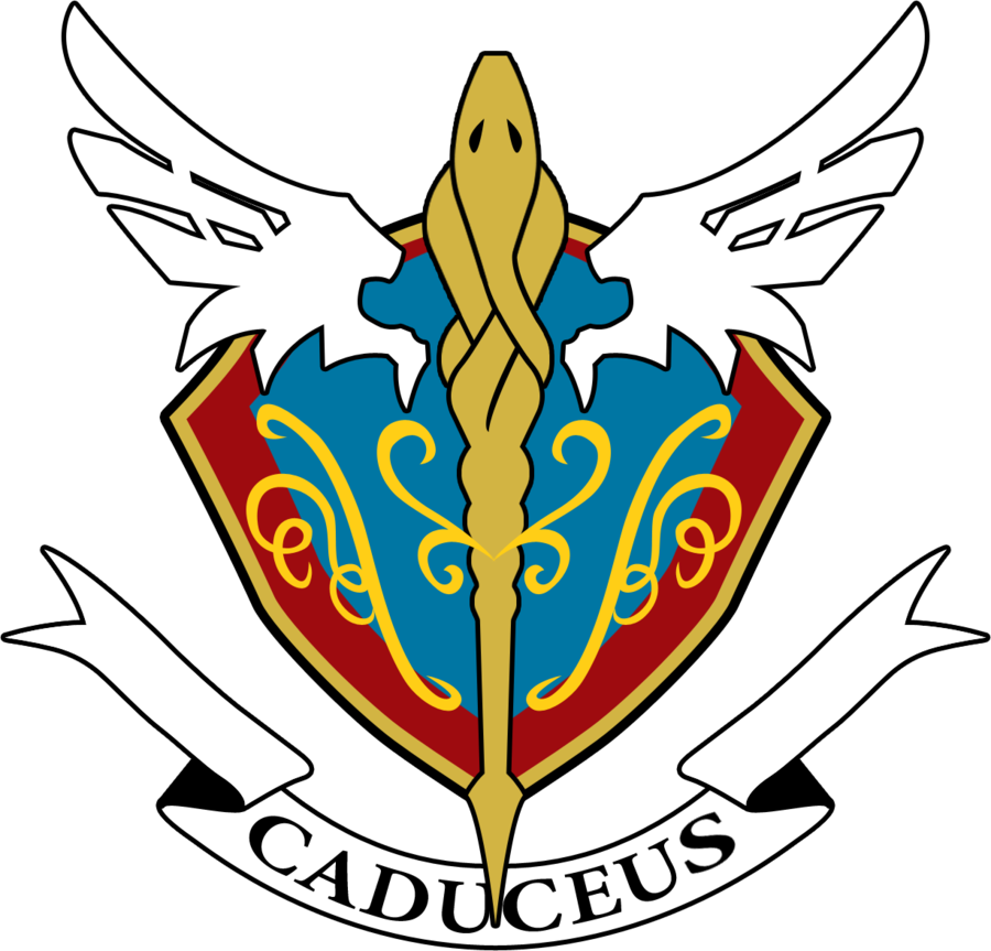 Trauma Center Caduceus Logo By Jactinglim - Caduceus Trauma Center (900x863)