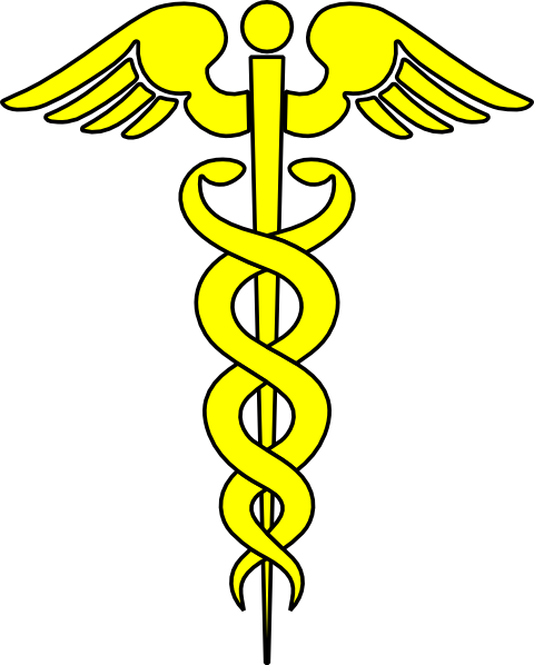 Yellow Caduceus Png (480x598)