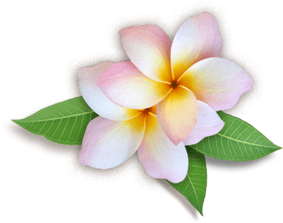 Download Png Image Report - Flowers Images Hd Png (458x360)