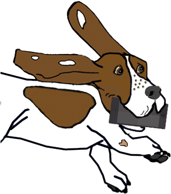 Alex Stark - English Foxhound (359x398)