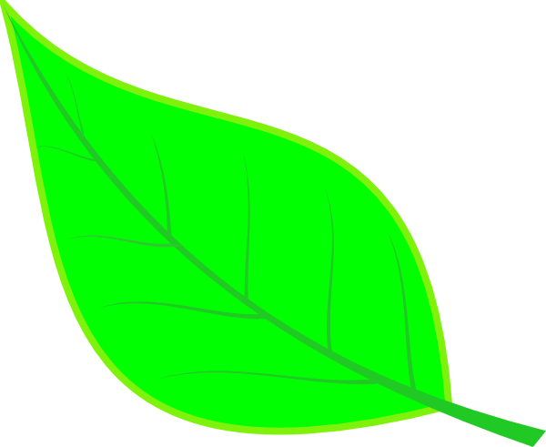 How To Set Use Cryptpoint Leaf 100 Svg Vector - How To Set Use Cryptpoint Leaf 100 Svg Vector (600x491)