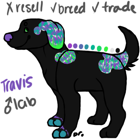 Dog Breed Labrador Retriever Puppy Clip Art - Dog Breed Labrador Retriever Puppy Clip Art (500x500)