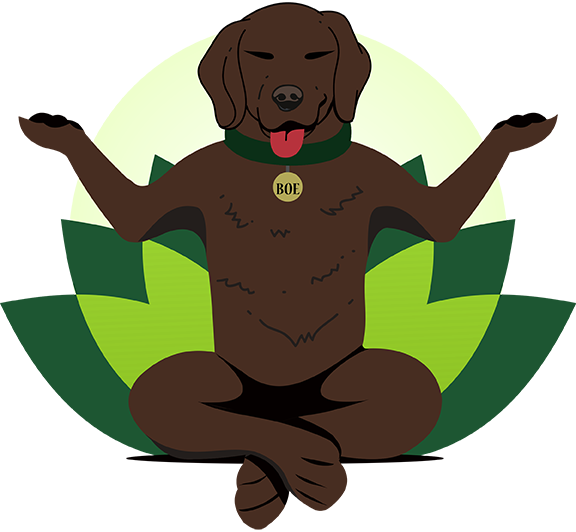 Bank Of England (576x532)