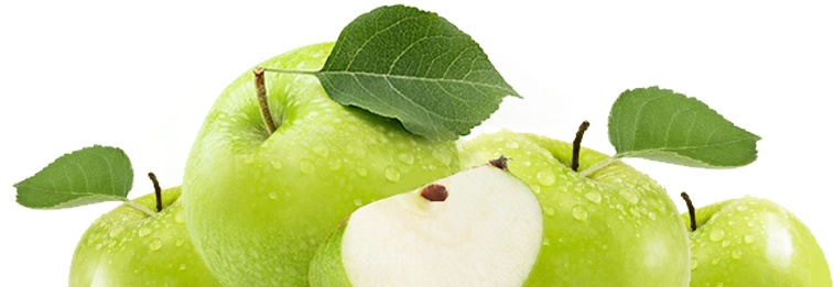 Discover Exactly What Your Body Needs To Healwith Nutrition - Lindy Lan Port Blocker - Black - X20 (759x274)