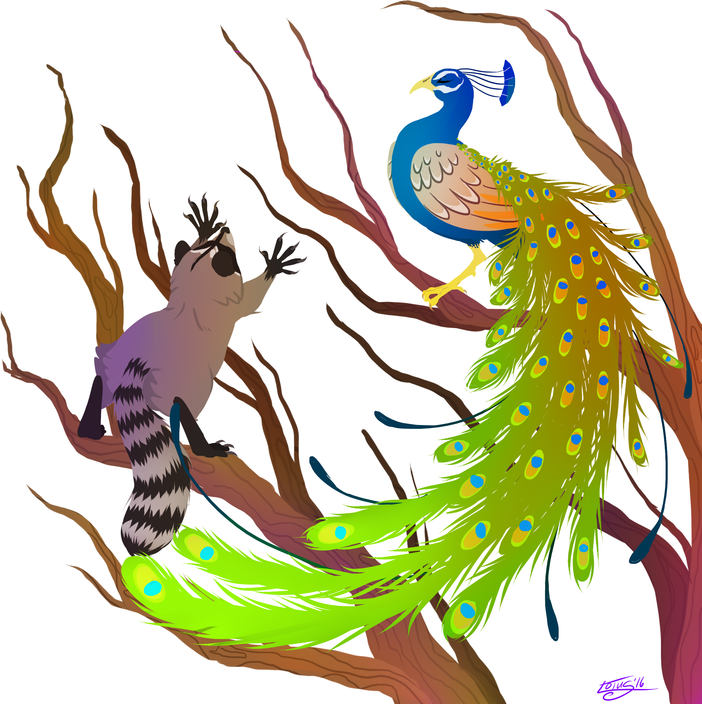 Root « Older Blue Moo Peacock And Raccoon - Root « Older Blue Moo Peacock And Raccoon (2400x2400)
