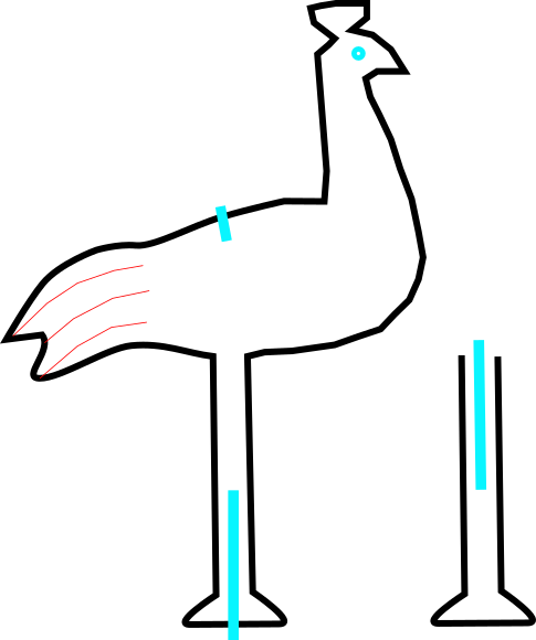 Peacock Design 4 - Peacock Design 4 (485x580)