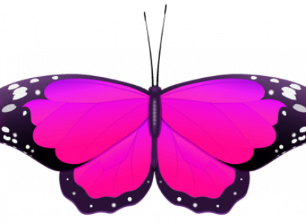 Peacock Feather Clip Art - Red Butterfly Clipart (440x320)