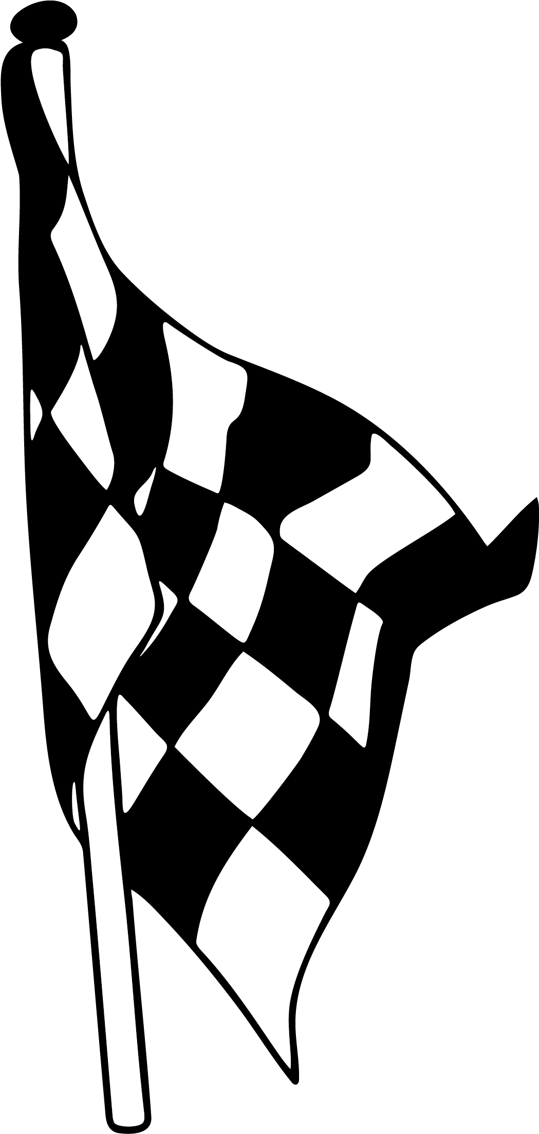 Formula One Racing Flags Flag Of The United States - Racing Flags (1914x2773)