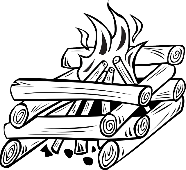 Clipart Info - Campfire Clip Art (800x731)