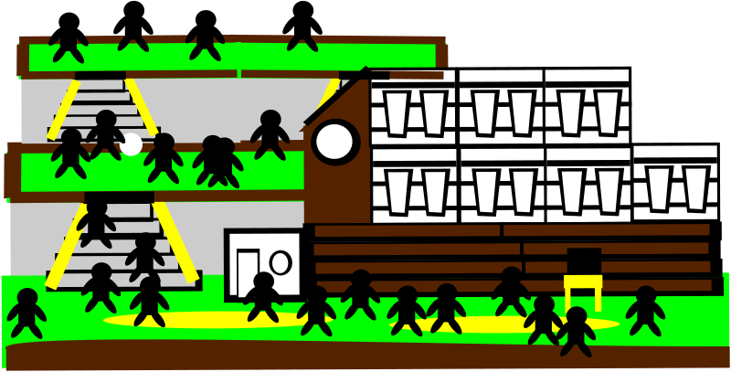 En 2007, La Nouvelle-zélande A Complètement Transformé - Education (800x407)