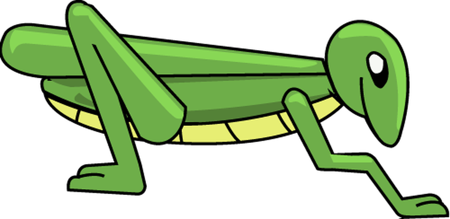 Summer Term - Curriculum (900x439)