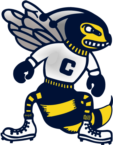 Middle School - Center Yellowjackets Logo (500x500)