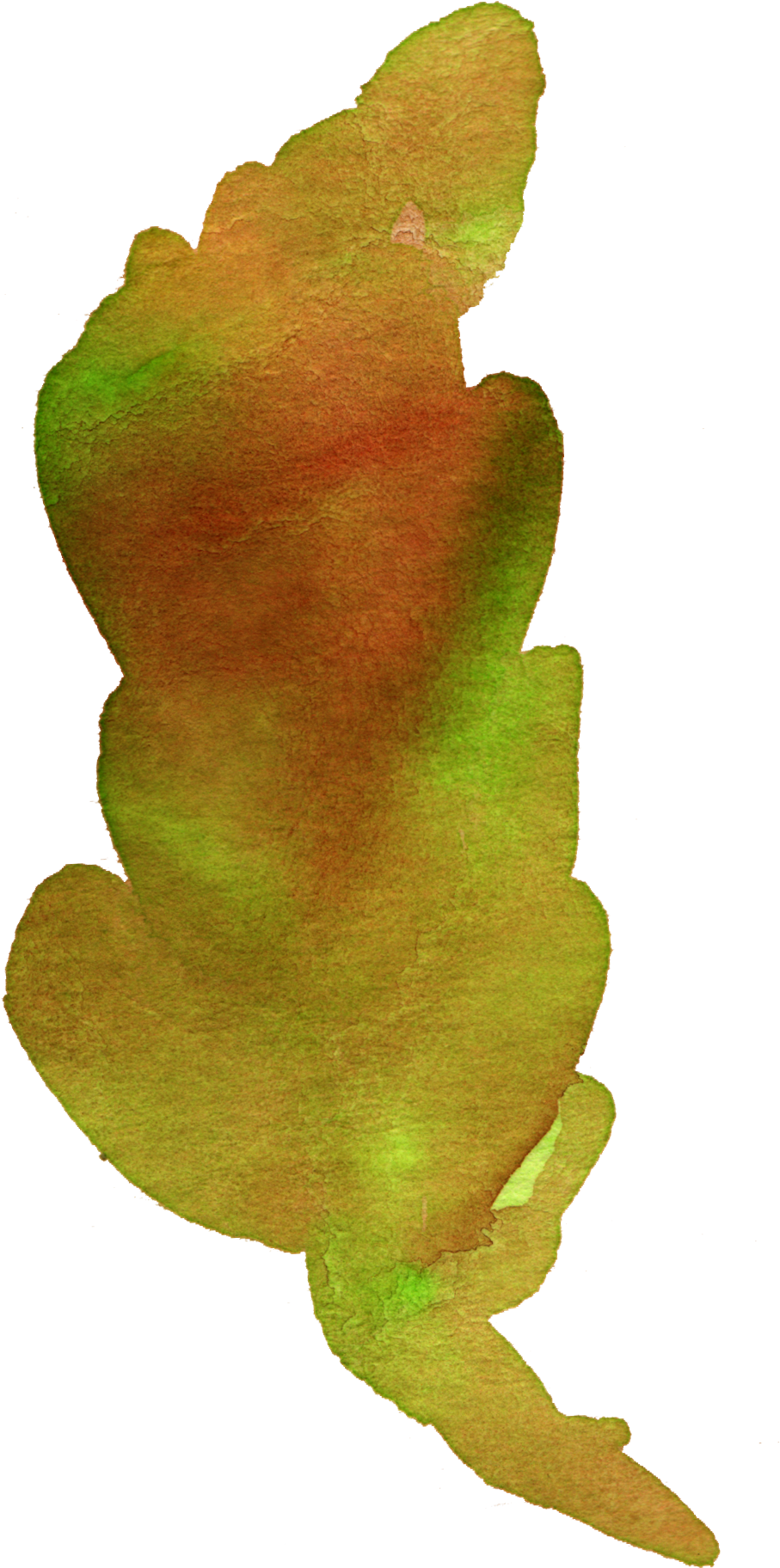 1 - Gambel Oak (963x1992)