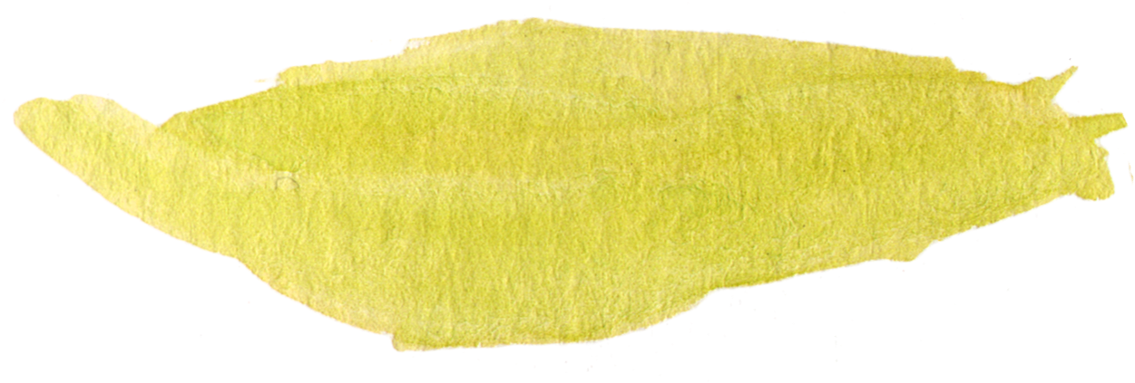 Free Fall Watercolor Floral Clip Art- So Pretty - Tints And Shades (1326x434)