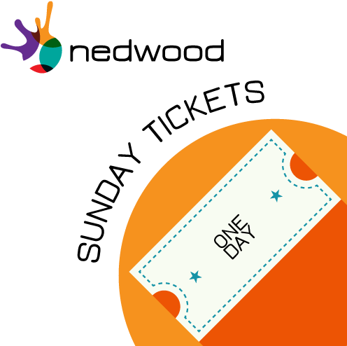 Sunday Tickets - Festival (501x500)