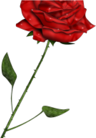 Red Rose Clipart Phantom The Opera - User Profile (640x480)