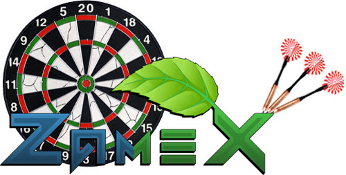 Dart Board Cake Topper (500x253)