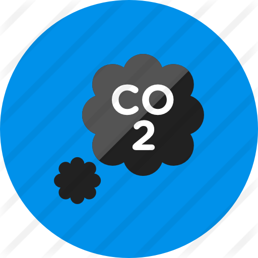 Co2 - Ladybird Beetle (512x512)