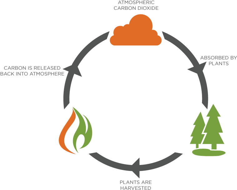 When The Plant Is Burned, The Same Amount Of Carbon - Plate Clip Art (768x621)