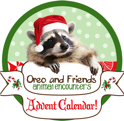 Adventlogosmall - Oreo And Friends (400x398)