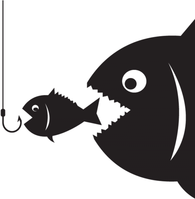 Amazon Dilemma - Fishing (1120x759)