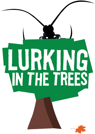 A Different Sort Of “beetlemania” Is Set For The Massachusetts - Asian Long-horned Beetle (325x451)