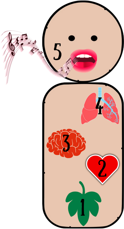 I've Girded My Loins - Illustration (800x800)