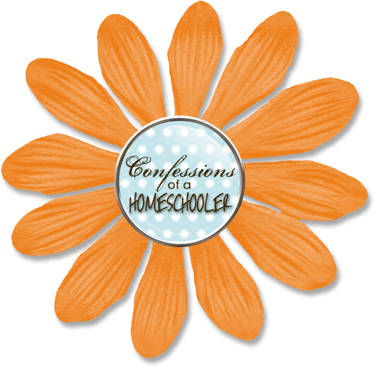 Confessions Of A Homeschooler - Homeschooling (544x527)