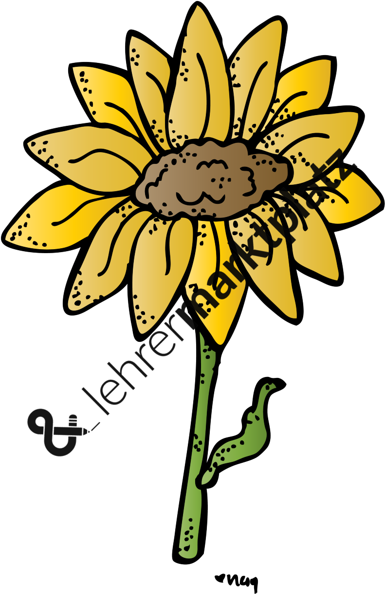 Blumen Biologie, Daz / Daf, Deutsch, Englisch, Lehreralltag, - Clip Art (800x1217)