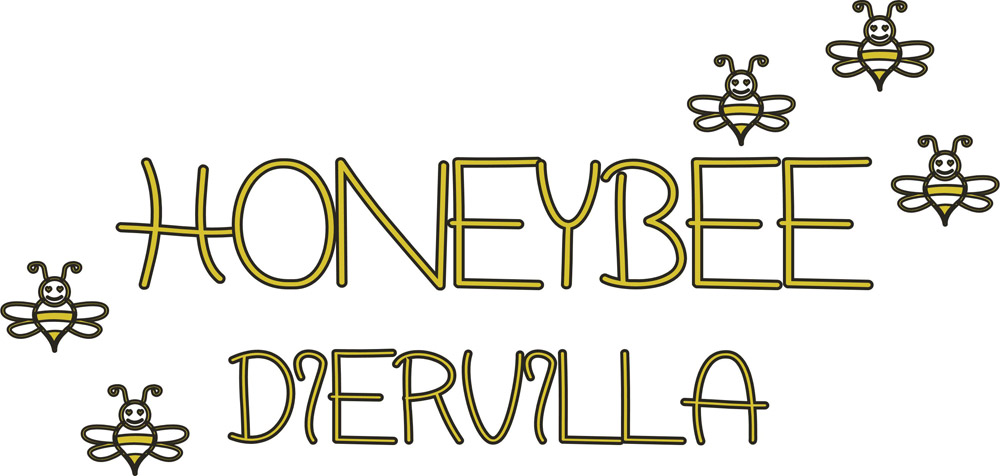 Diervilla Rivularis Honeybee Eu - Calligraphy (1000x476)