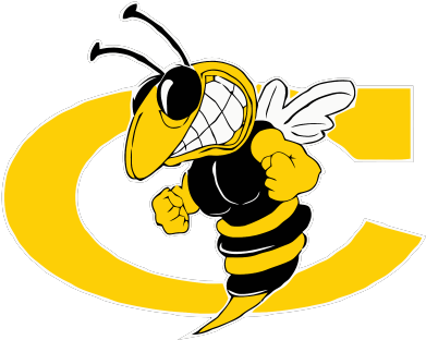 Site Logo - Cook High School Hornets (509x334)