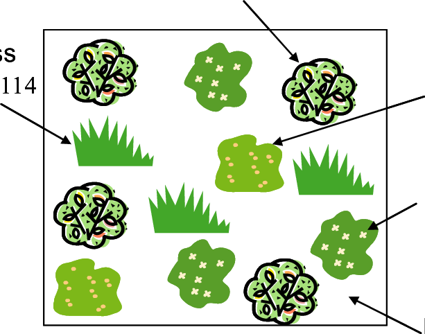 Schematic Of Barrier Surface Showing The Concept Of - Schematic (613x482)