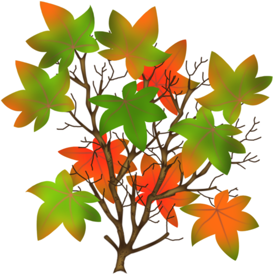Autumn Trees - Autumn Trees (600x600)