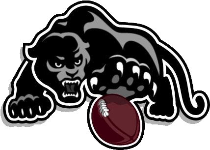 Panther W Ball Left - Football Strath Haven High School (428x305)