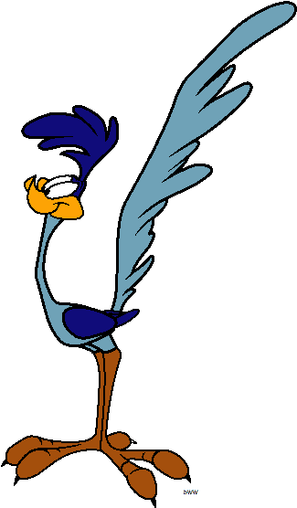 Coyote Clipart Looney Tunes - Road Runner From Looney Toons (338x583)