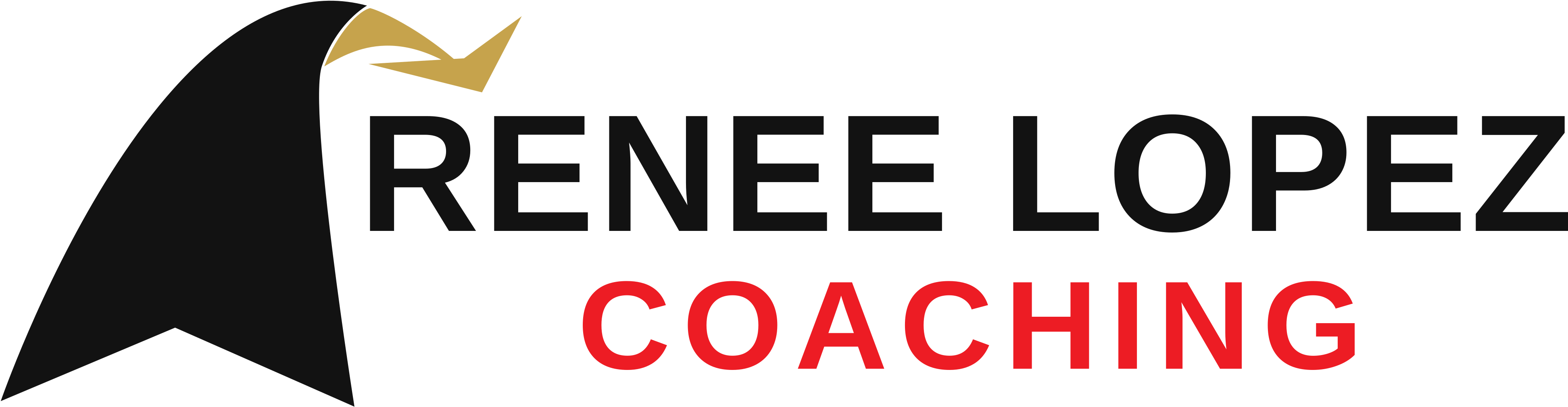 Coach Renee Lopez - Coach Renee Lopez (3907x1053)