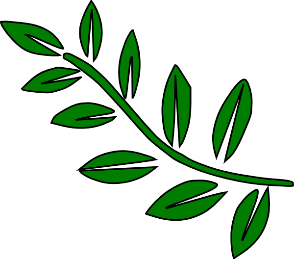 Long Leaves Clipart - Tree Branch Clip Art (600x528)