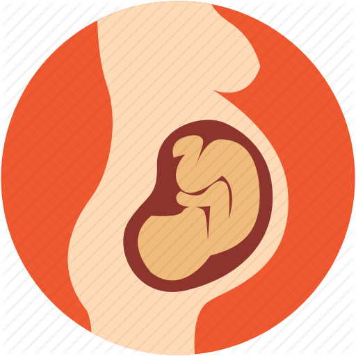 Womb Clipart Baby Fetus - Cute Pregnant Icon Png (512x512)