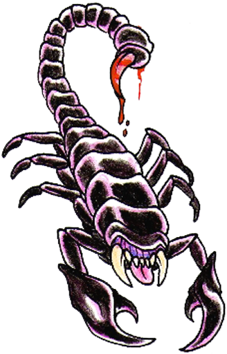 Scorpion Tattoos Png Clipart - Scorpion Tattoo Designs (350x529)