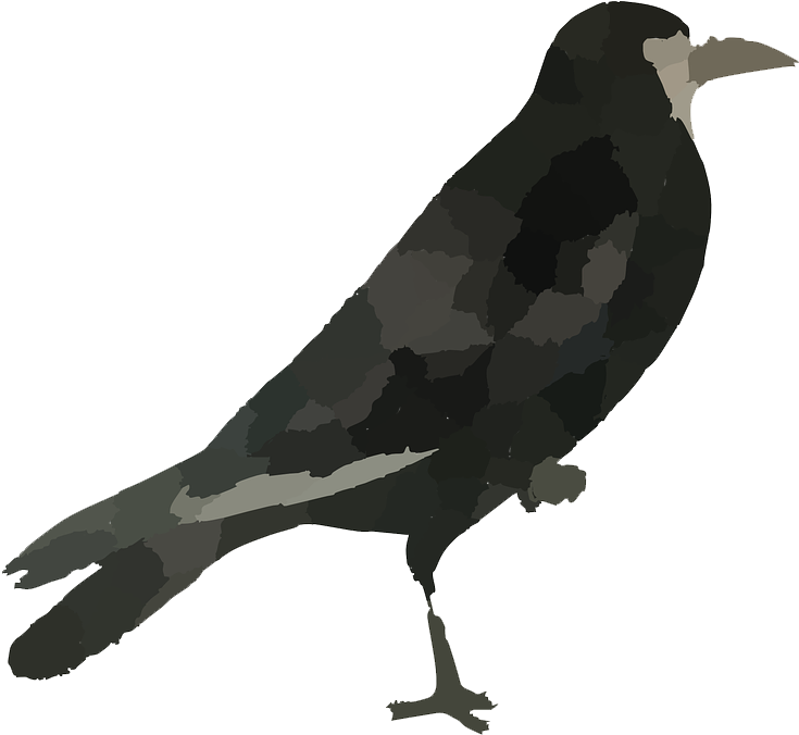 September 2015 Bondage Video Discussion Forum Archive - Png Bird Hd (777x720)