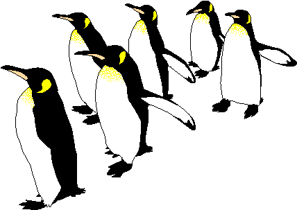 2006年05月13日 - King Penguin (440x312)