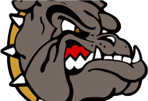 Marypersonsbulldogs - Summer Creek High School Logo (570x350)